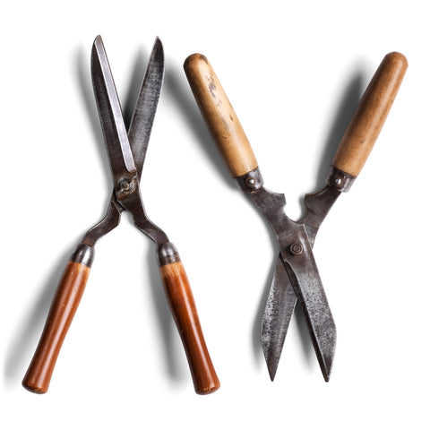 Lady's Garden Shears